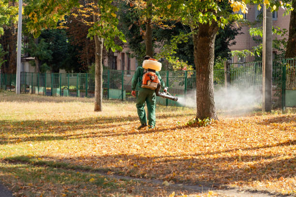 Best Pest Control Near Me  in Laie, HI