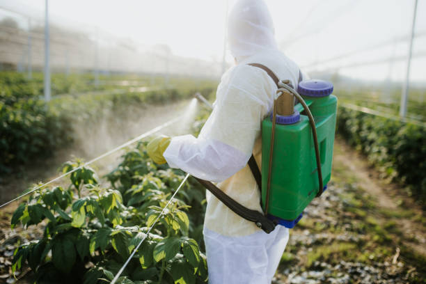 Best Best Pest Control Companies  in Laie, HI